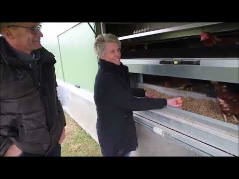 Zu Gast beim Hühnerhof Seitzer in Bettringen