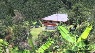 ADORADO TORMENTO - ANTONIO AGUILAR
