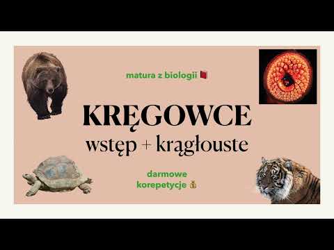 #28 - Kręgowce - wstęp + krągłouste - budowa, charakterystyka 🐈🦚🐒 matura z biologii 📕 liceum