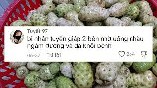 Bị nhân tuyến giáp 2 bên uống nhàu mà khỏi bệnh