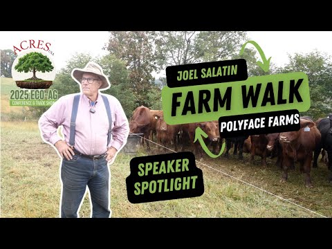 Inside Polyface Farms with Joel Salatin: The Economics and Ecology of Regenerative Farming