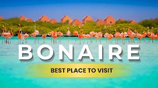Breathtaking BONAIRE ✦ SABA ✦ STATIA: Top 10 Places You WON'T BELIEVE EXIST! 🌴 🇧🇶 | Wanderlust TTW