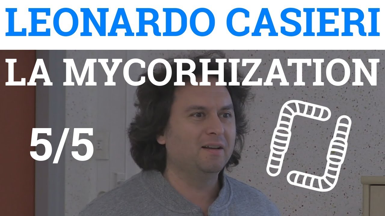 5/5 - Léonardo CASIERI - La Mycorhization - Cas d'Etudes