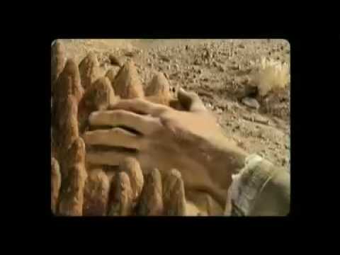 Rafskinna , Issue #2 "House" Trailer