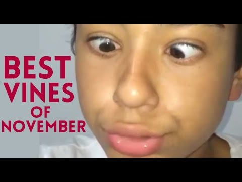 Best New Vines November 2015 Funniest Best Latest Vine Compilation with Titles