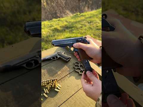 The New Walther PPK .380 Full Review.
