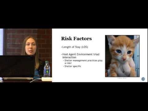 Sniffles & Snots: Prevention & Management of Feline Upper Respiratory Disease - conference recording