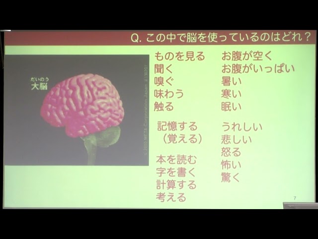 動画サムネイル