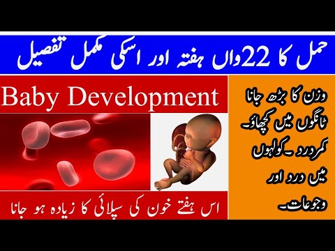 22nd Week Of Pregnancy || 22 Week Pregnant || Hamal Ka 22 Hafta ||