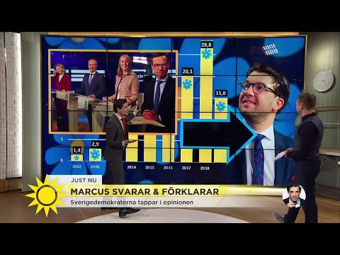 Marcus förklarar: "Därför tappar SD i opinionen"  - Nyhetsmorgon (TV4)