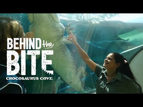 Crocosaurus Cove