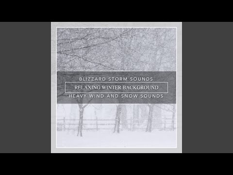 Blizzard Storm Sounds, Relaxing Winter Background, Heavy Wind and Snow Sounds