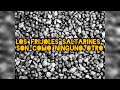 Jumping Beans - Frank Black (Subtitulada al español)