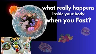 Ever wondered what really happens inside your body when you fast? Science behind Fasting.