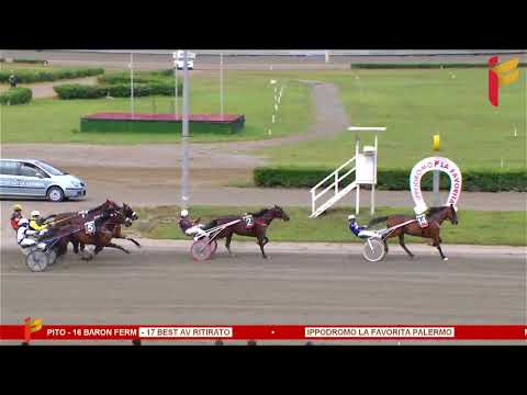 II Corsa del 31 maggio 2023 - 5 Anni ed oltre - Metri 2000