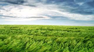 akeboshi wind (instrumental)