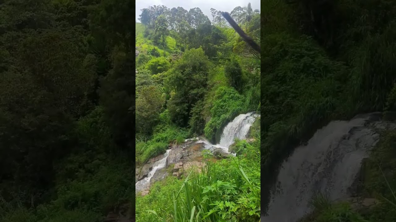 YouTube Short thumbnail