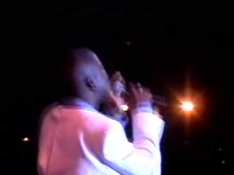 Stinger - Voices from the Van