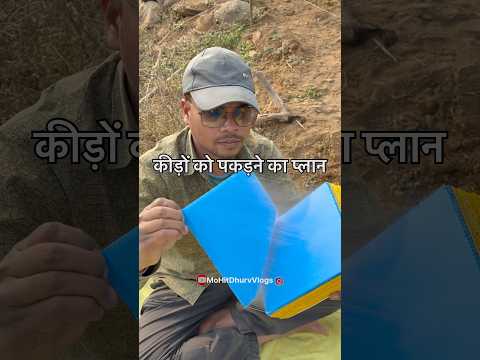 Kharbuja me Yellow Sticky Trap Lagaya minivlog #chhindwara #farmlife #farmerlife #yt_shorts #short