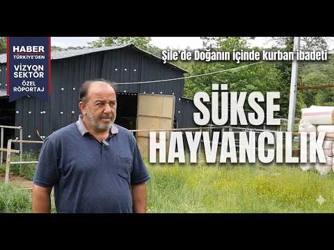 Şile Yolu Üzerinde Doğal Bir Mola: Sükse Süt ve Hayvancılık Çiftliği