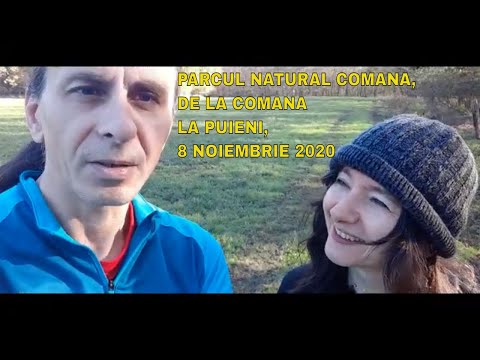PARCUL NATURAL COMANA(TRAVERSARE PARC, DE LA COMANA LA PUIENI, 8 NOIEMBRIE 2020)