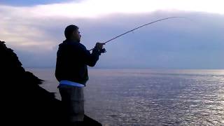 Graphiteleader tiro prototype gotps 792ml-t