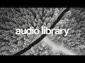 Snowfall – Scott Buckley (No Copyright Music)