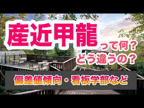 現代経済学科 産近甲龍の違い【ゆっくり大学受験】