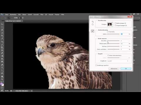 Auswahlen verbessern - Adobe Photoshop CS6 - Die Grundlagen