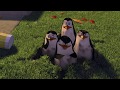 DreamWorks Madagascar You Didn T See Anything Right Madagascar Movie Clip