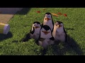 DreamWorks Madagascar | You Didn't See Anything. Right? | Madagascar Movie Clip