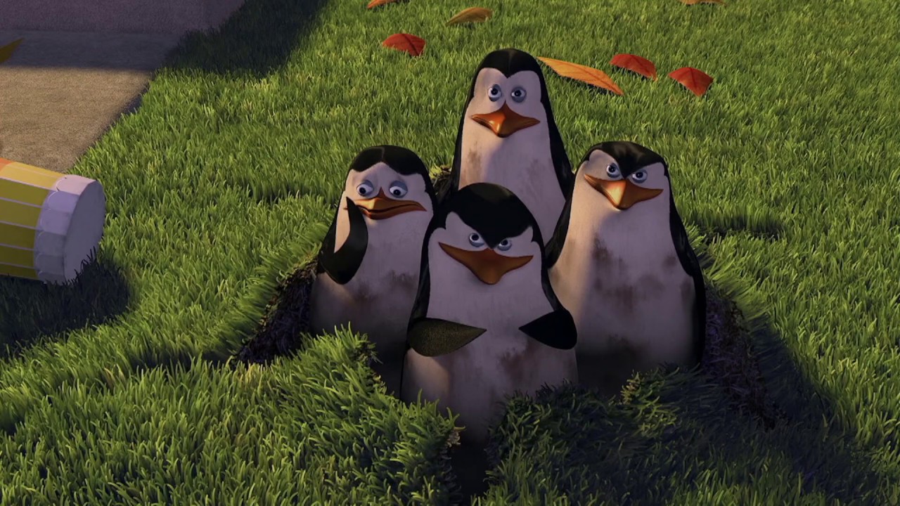 DreamWorks Madagascar | You Didn't See Anything. Right? | Madagascar Movie Clip