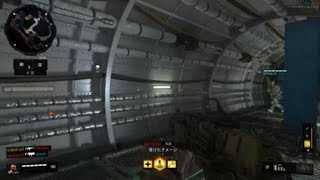【CoD:BO4】味方じわる