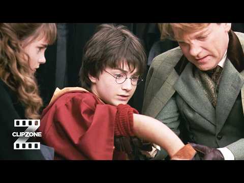 Dobby's Rogue Bludger