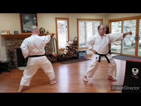 Home Shotokan Karate Training - April 14 2021