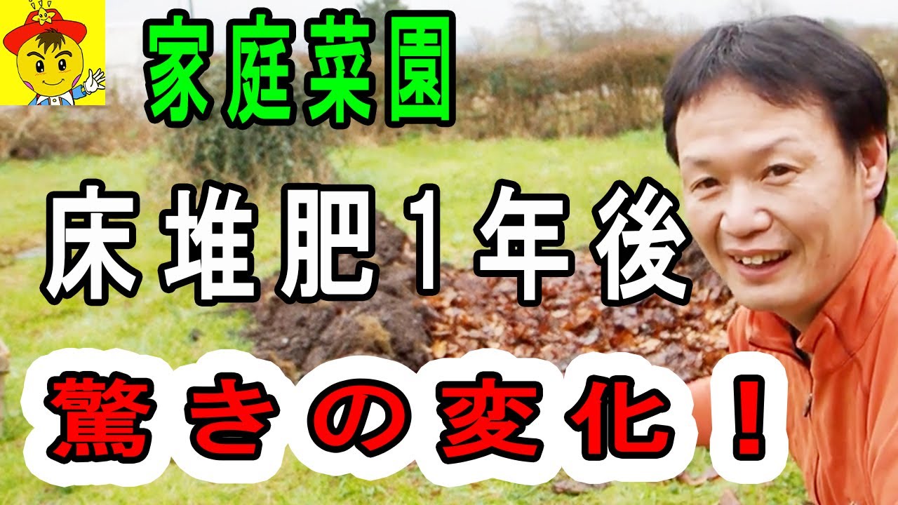 【自然栽培】床堆肥を作った畑の1年後と土の変化