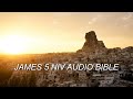 JAMES 5 NIV AUDIO BIBLE(with text)