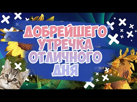 💗💓💐Доброе утро, новый день настал, солнечным светом мир озарился, пусть радость и счастье придут!💗💓💐