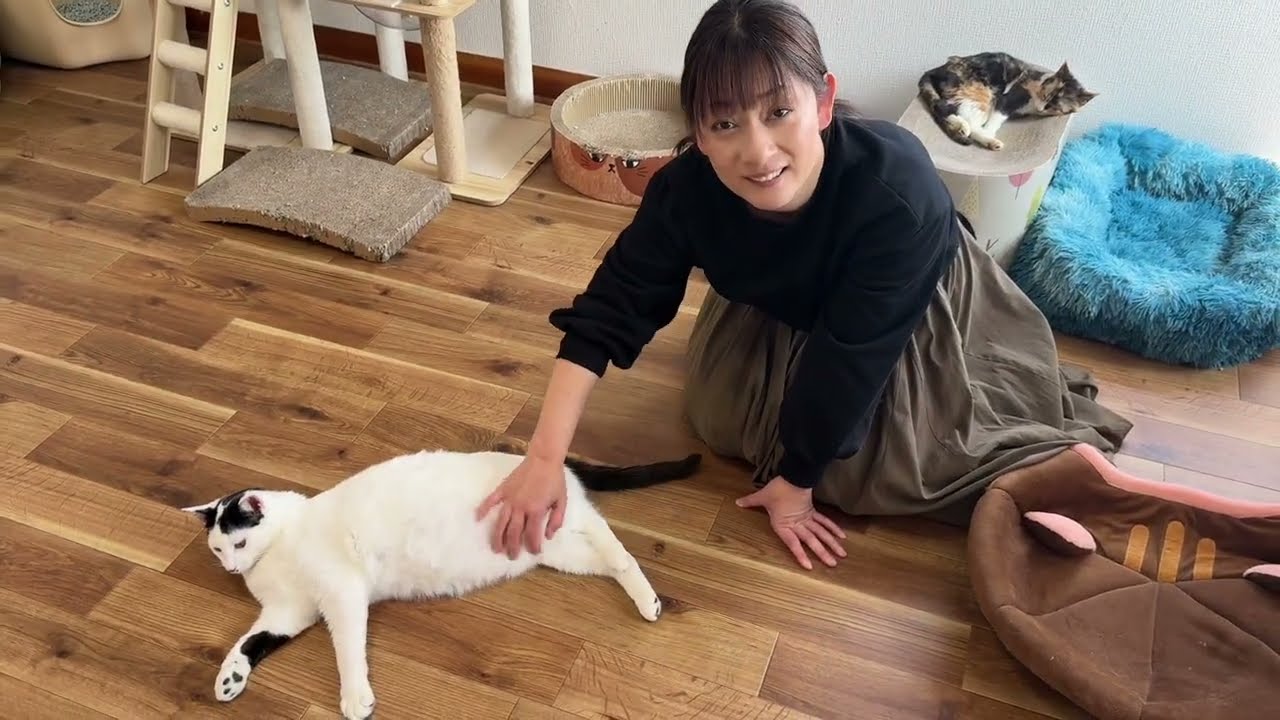 保護した猫に拒絶されてしまいました