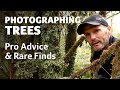 Photographing Trees with Simon Baxter - Pro Advice & Rare Finds