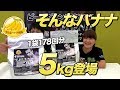 ビーレジェンド そんなバナナ5kgが登場!【ビーレジェンド鍵谷TV】