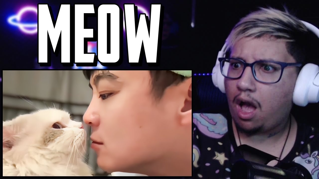 UNUSUAL MEMES COMPILATION V313