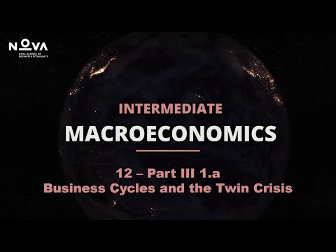 12 Part III 1.a - Business Cycles and the Twin Crisis