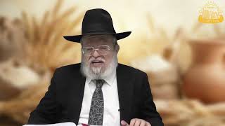 דף היומי בחצי שעה – מסכת מנחות דף ק”ו