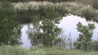 A Beautiful Home - The Mark Newton Band