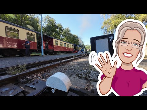 Selketalbahn zwischen Alexisbad und Harzgerode  -  auf schmaler Spur im Harz #34