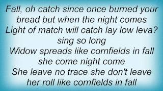 Devendra Banhart - Fall Lyrics