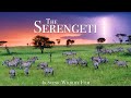 The Serengeti 4K - Scenic Wildlife Film With African Music