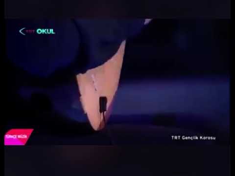 Aysu altunbaş- çırpınıp içinde döndüğüm deniz