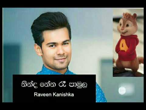 Raveen Kanishka new song cover vershion